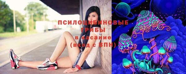 соль курить ск Бородино