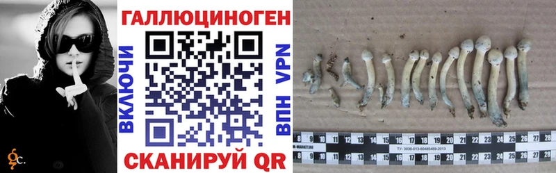 Галлюциногенные грибы Psilocybine cubensis  сколько стоит  Липецк 